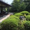 丈山苑で日本庭園を眺めながら抹茶をいただく