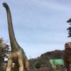 岡崎東公園、大迫力の恐竜＆ふれあい広場でかわいい動物とのふれあい