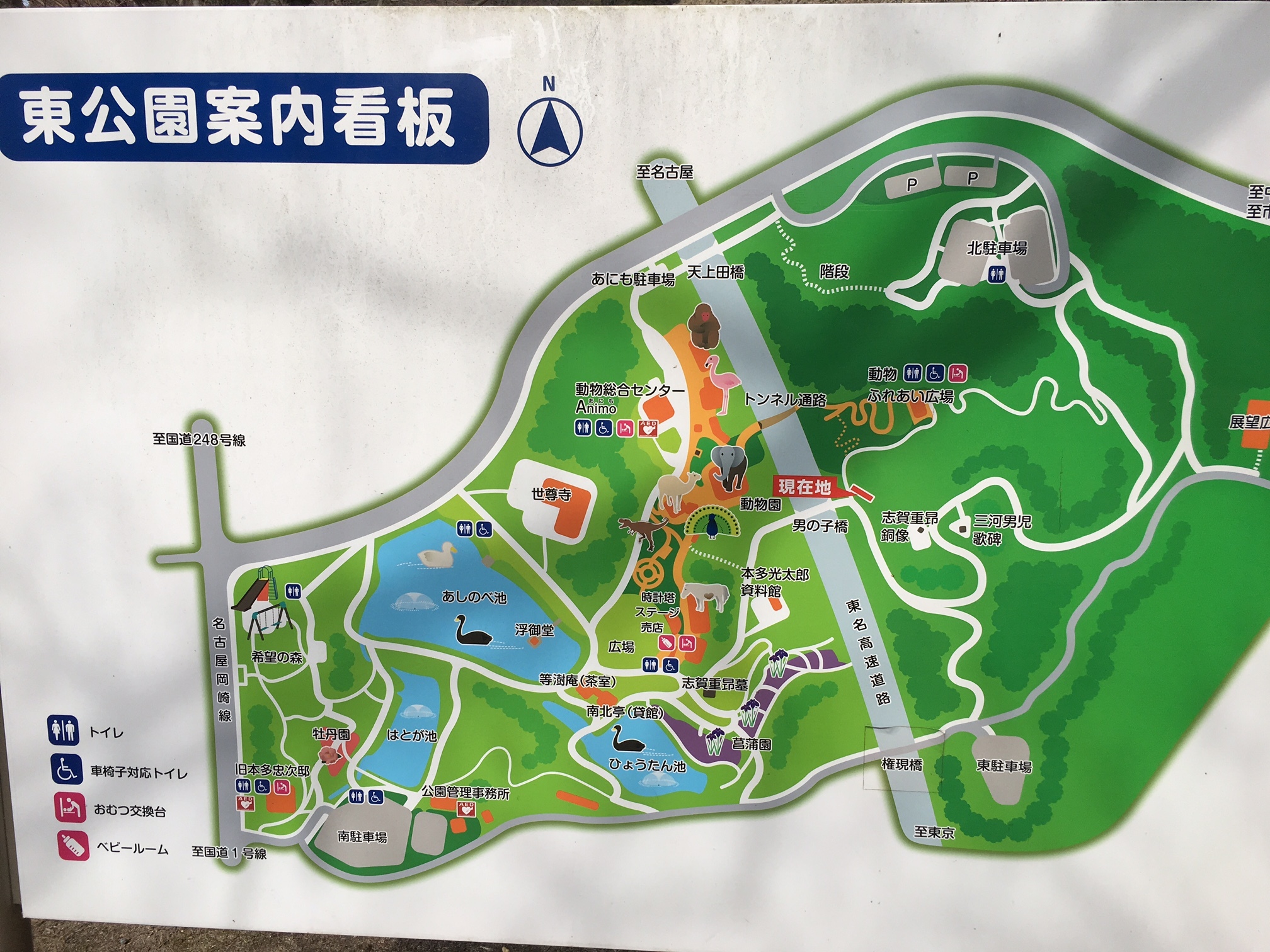 岡崎東公園、無料の動物園に行こう！動物園へは北駐車場が近いです